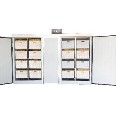 Проращиватель семян, бобов, злаков BSC-200A Foodatlas