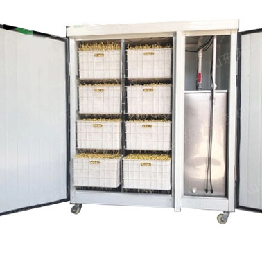 Проращиватель семян, бобов, злаков BSC-150A Foodatlas