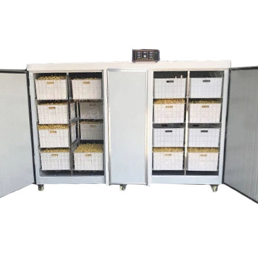 Проращиватель семян, бобов, злаков BSC-500A Foodatlas