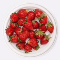 Тарелка Ø225х20mm плоская биоразлагаемая 