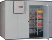 Камера холодильная (промышленная, среднетемпературная) ИПКС-033СТ-18 