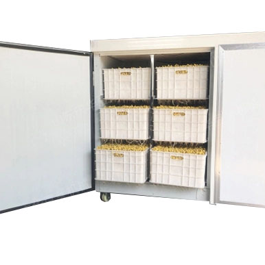 Проращиватель семян, бобов, злаков BSC-60A Foodatlas