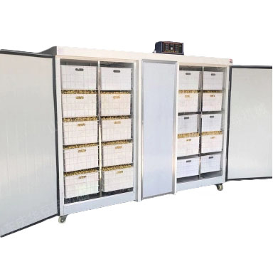 Проращиватель семян, бобов, злаков BSC-300A Foodatlas