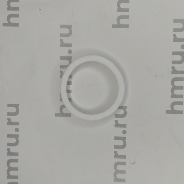 Уплотнительное кольцо PTFE на дозирующий поршень для LPF/PPF-1000 купить в компании Европактрейд Уплотнительное кольцо PTFE на дозирующий поршень для LPF/PPF-1000 купить в компании Европактрейд
