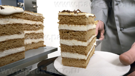 Машина для вертикальной нарезки тортов и бисквита GR-600