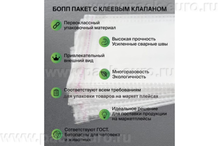 Полипропиленовый пакет с клеевым клапаном 220x300 мм