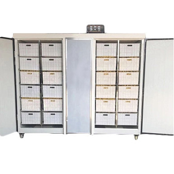 Проращиватель семян, бобов, злаков BSC-400A Foodatlas
