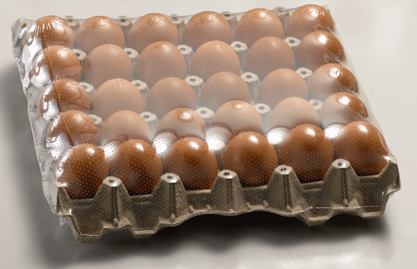 Термоусадочная машина ручная Golfpack-5540 Термоусадочная машина ручная Golfpack-5540